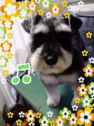 20090227154732001001.jpg
