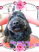2009033115591000010001.jpg