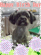 200905161705000001.jpg