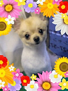 200907041834510001.jpg