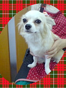 200907151550350001.jpg