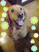 200908042037350001.jpg