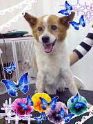 200908091816590001.jpg