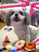200908181530300002.jpg