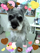 201002271248080001.jpg