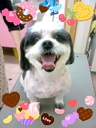 201003110010480001.jpg