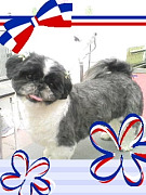 201003241824270001.jpg