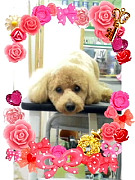 201003251331010001.jpg