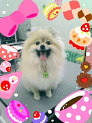 201004011611370001.jpg