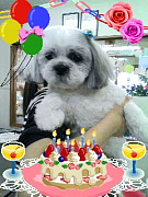 201004031727440001.jpg