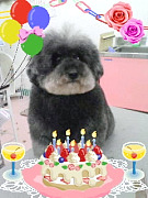 201004041917310001.jpg