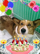 201004081254060001.jpg