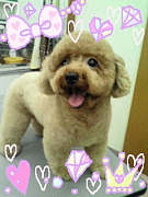 201004081831060001.jpg