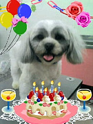 201004181814520001.jpg