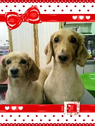 201004271549270001.jpg