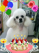 201005081239320001.jpg