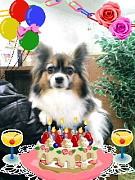 201005111748550001.jpg