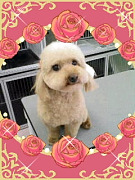 201005161340020001.jpg