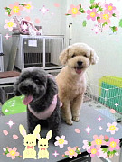 201005191206230001.jpg