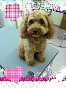 201005222308400001.jpg