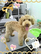 201005231754050001.jpg