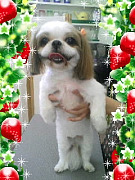 201006051641460001.jpg