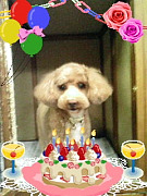 201006121835550001.jpg