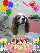 201006131336200001.jpg