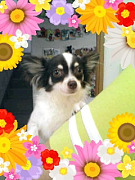 201006201611330001.jpg
