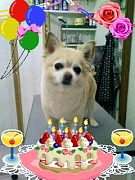 201006201804440001.jpg