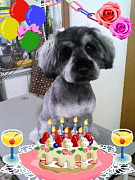 201006251257140001.jpg