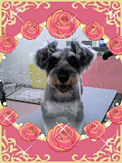 201007031250290001.jpg