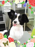 201007111714270001.jpg