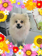 201007151636280001.jpg