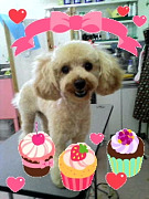 201007171622340001.jpg