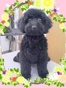 201008071647090001.jpg