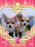 201008201353000001.jpg