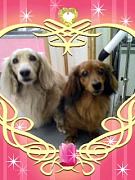 201008261544130001.jpg