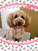 201009041546590001.jpg