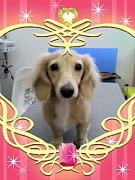 201009081403570001.jpg