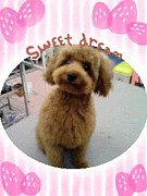 201009111715420001.jpg
