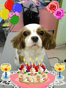 201009191544140001.jpg