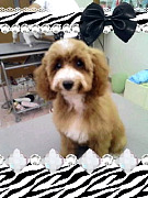 201009231211530001.jpg