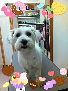 D10001650001.jpg