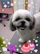SH37024600010001.jpg