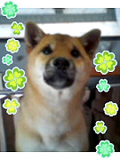 image00030001.jpg