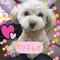 ミントちゃん☆