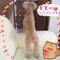 今日のミンちゃん☆