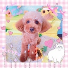 あずきちゃん♪