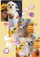 うみちゃん＆そらくん＆ゆめちゃん♫